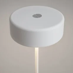 AI Collaboration 35cm portabel