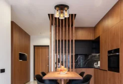 Aleidis 3 plafond