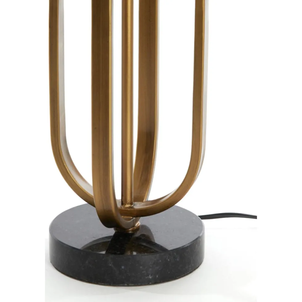 Aster 55cm
