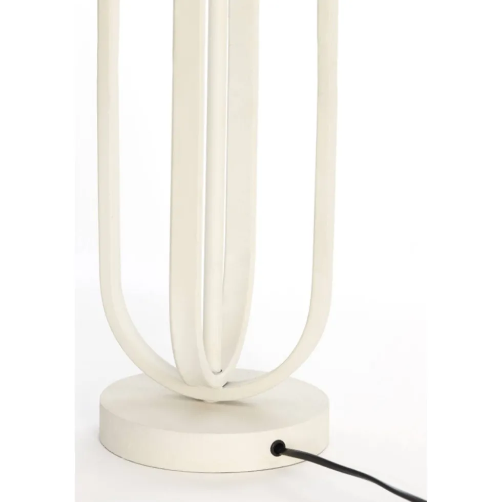 Aster 55cm