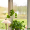 August 34cm bordslampa