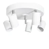 Aurora 5 spotlight