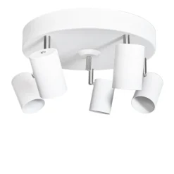 Aurora 5 spotlight
