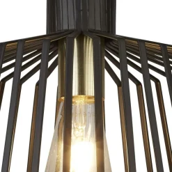 Bird Cage Ø30 taklampa