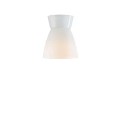 Bizzo Ø17 plafond