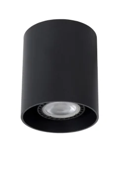 Bodi spotlight