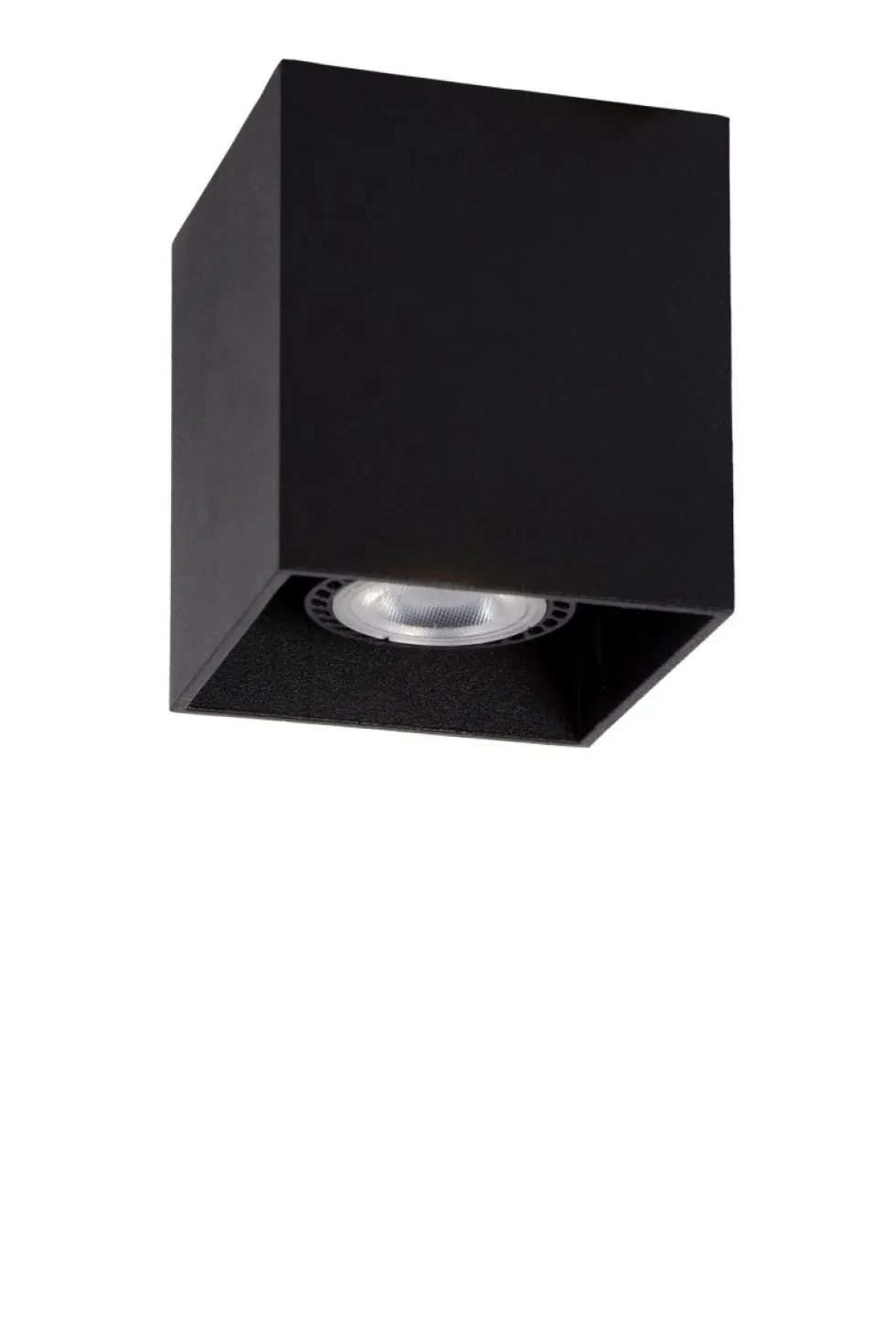 Bodi spotlight
