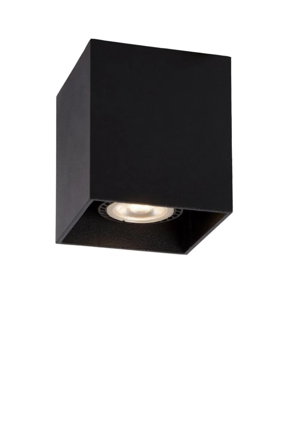Bodi spotlight