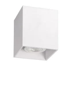 Bodi spotlight