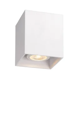Bodi spotlight