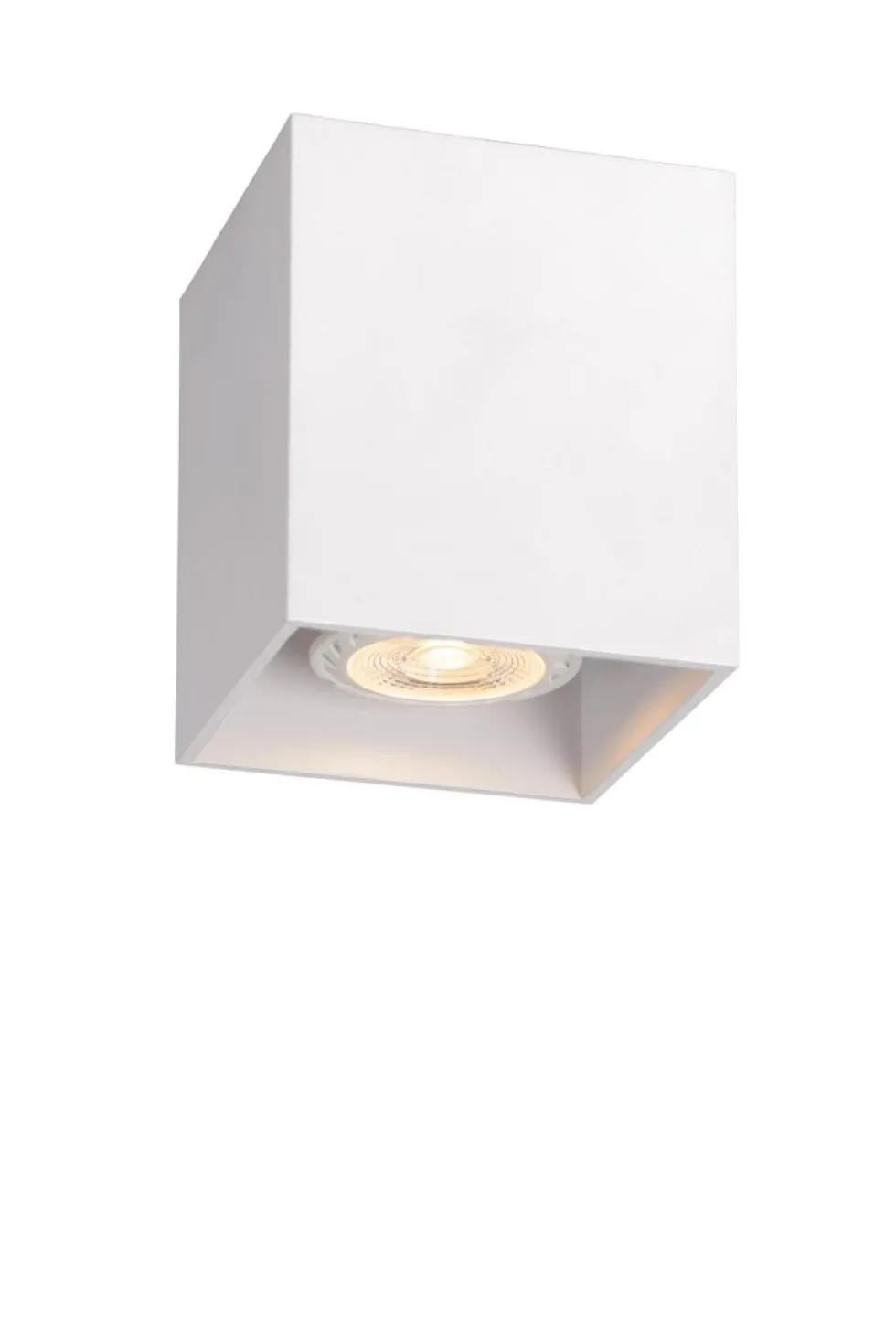 Bodi spotlight