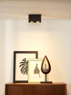 Bodi 2 spotlight