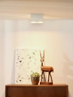 Bodi 2 spotlight