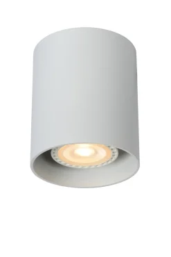 Bodi spotlight