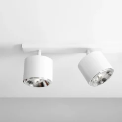 Bot 4 spotlight