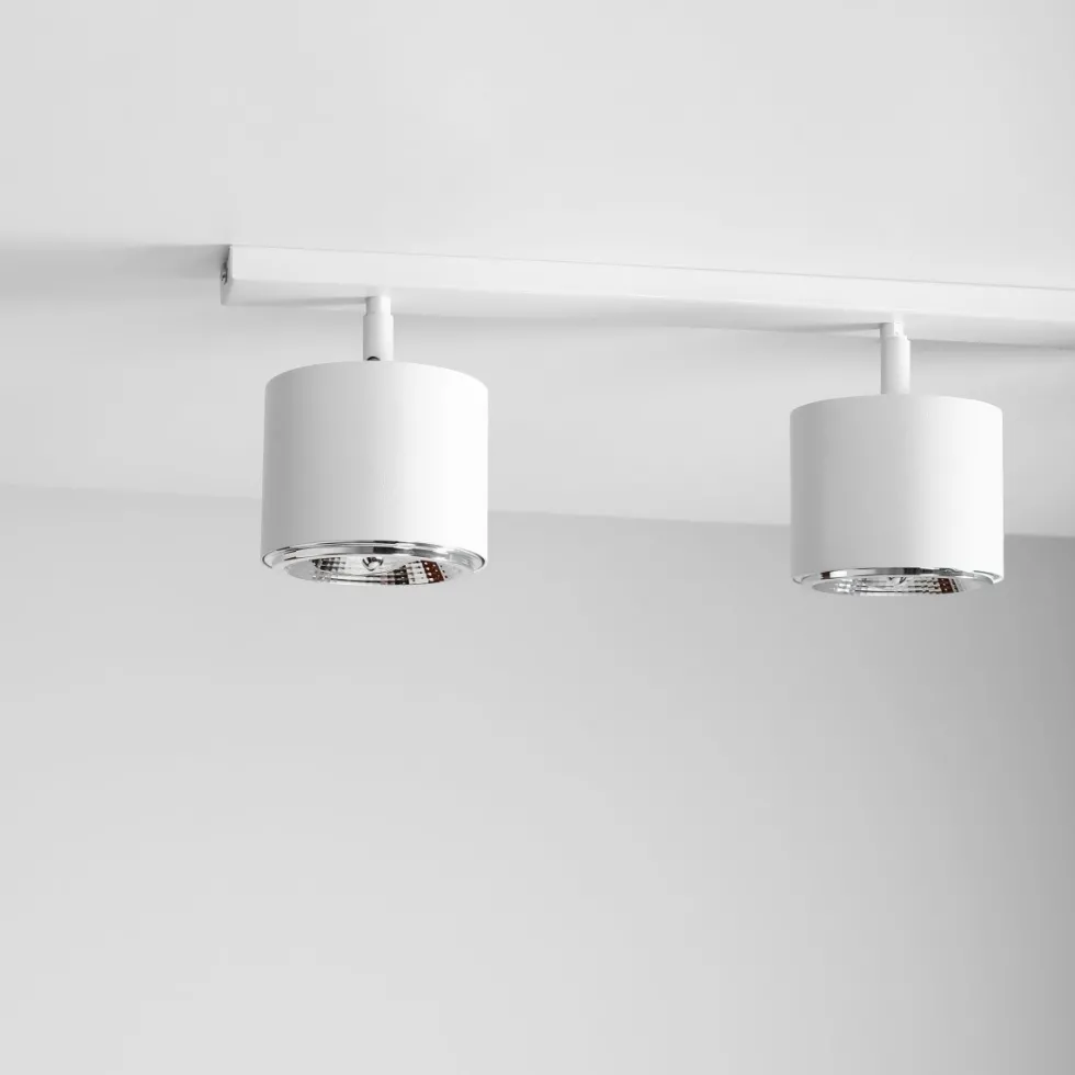 Bot 4 spotlight