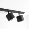 Bot 6 spotlight