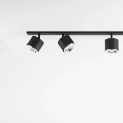 Bot 6 spotlight