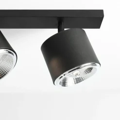 Bot 6 spotlight