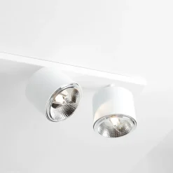 Bot 6 spotlight
