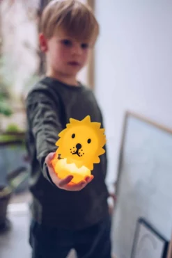 Bundle of Light - Lion Mini barnlampa