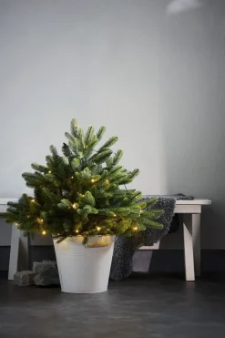 Busk 75cm