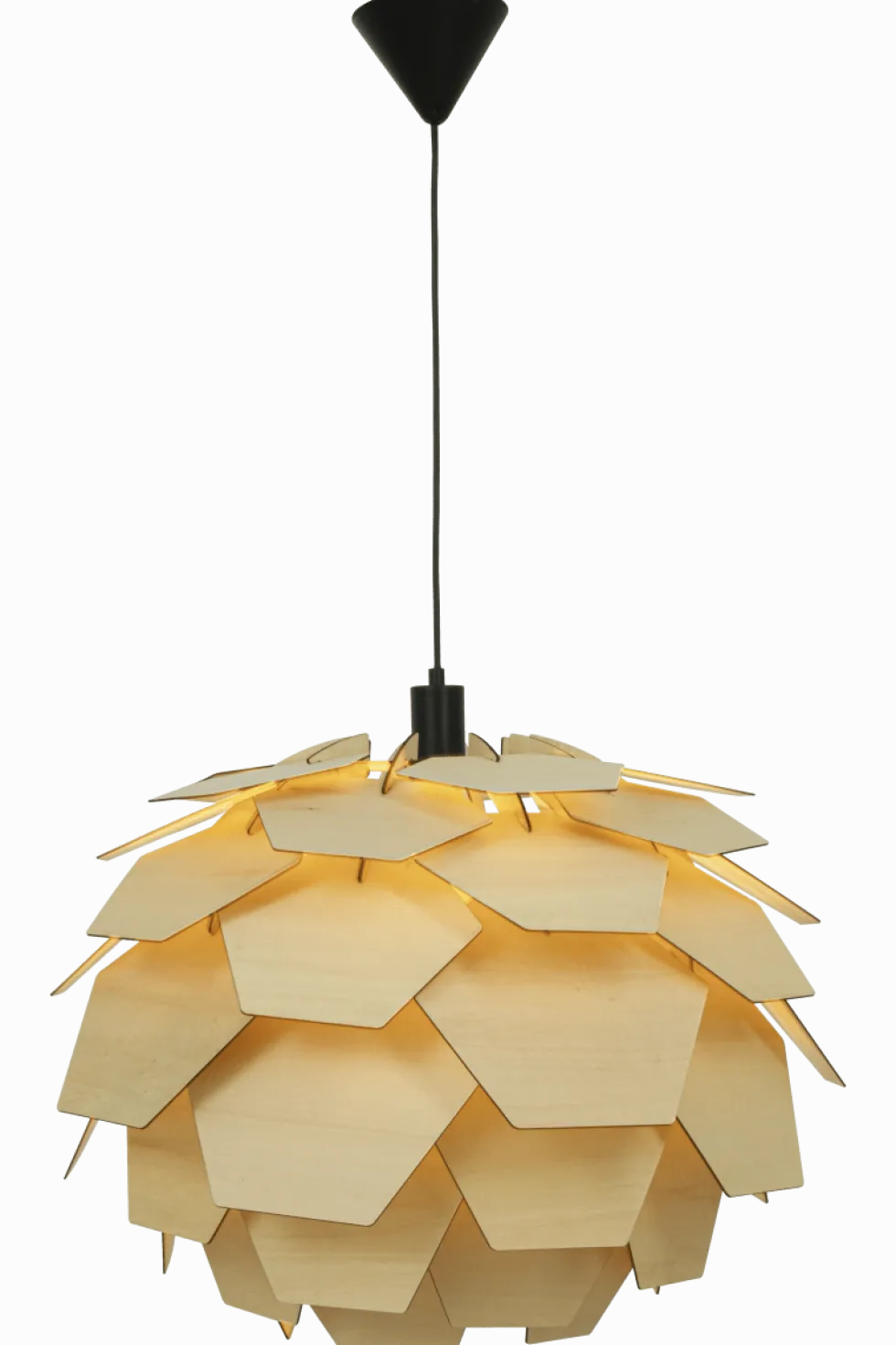Carpatica Ø60 taklampa