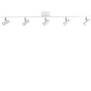 Cato 5 spotlight