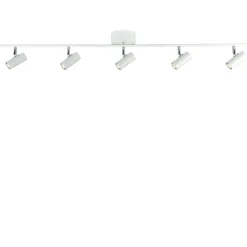 Cato 5 spotlight