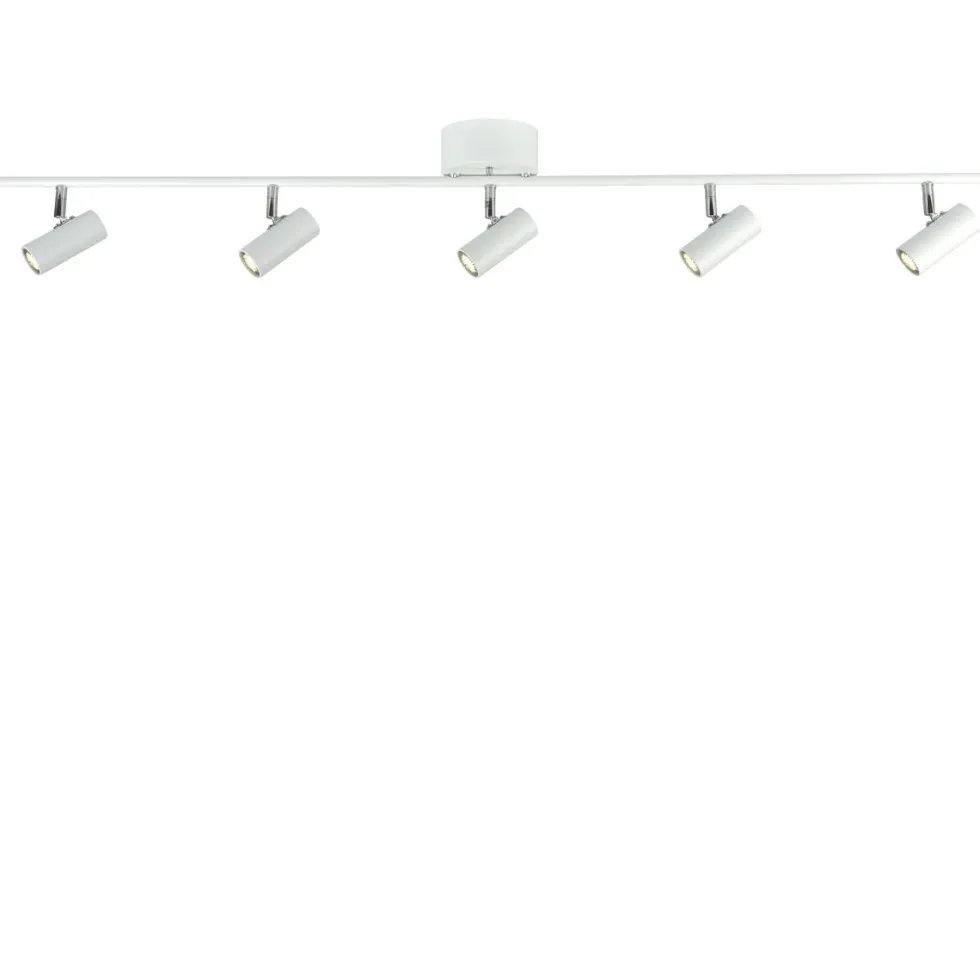 Cato 5 spotlight