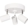 Correct 3 spotlight