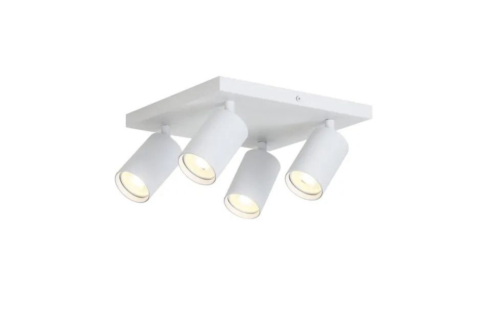 Crux 4 spotlight