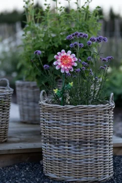 Daisy solcellslampa