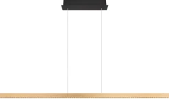 Dentsy 150cm taklampa