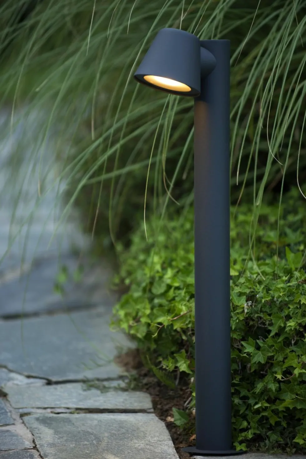 Dingo-LED 70cm pollare