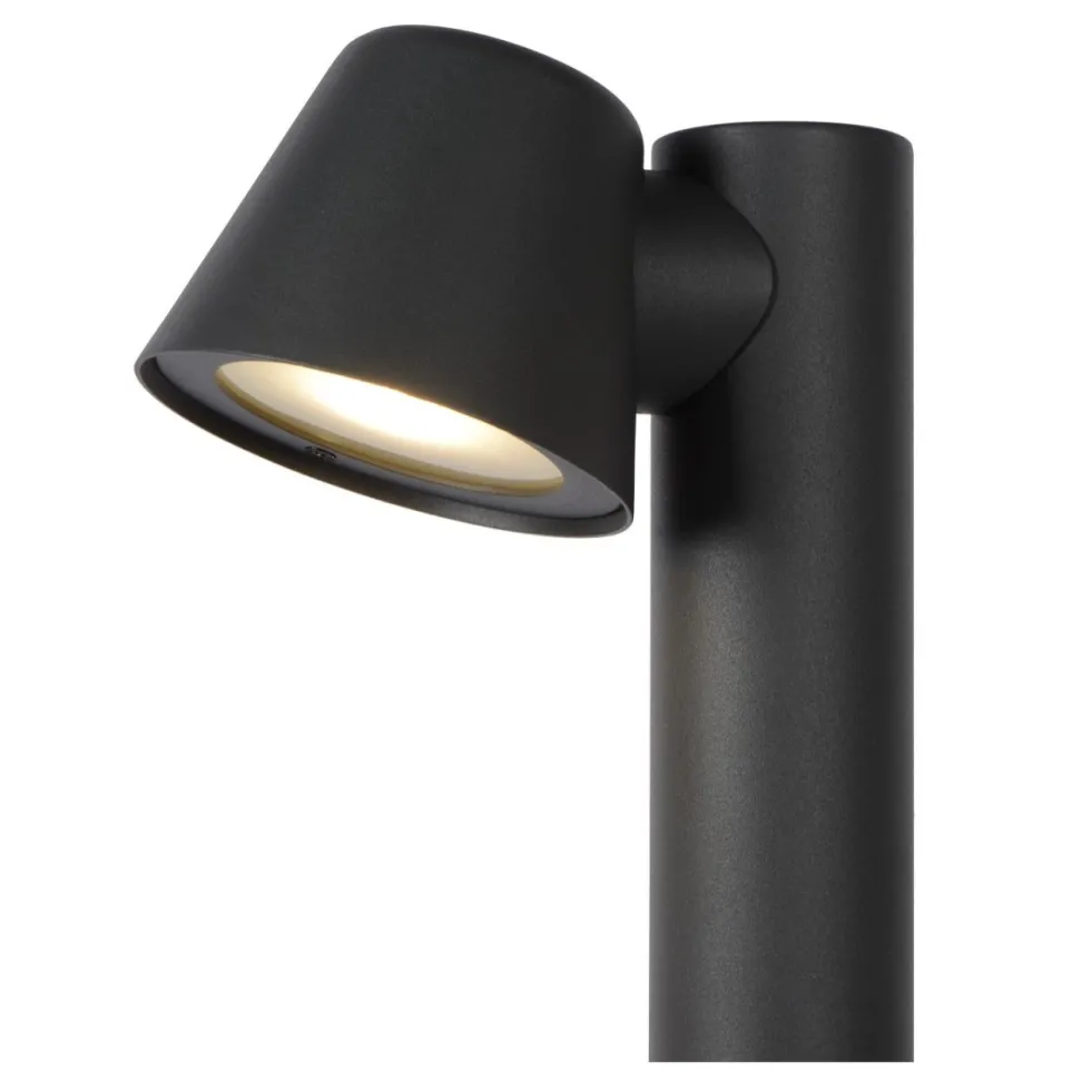 Dingo-LED 70cm pollare