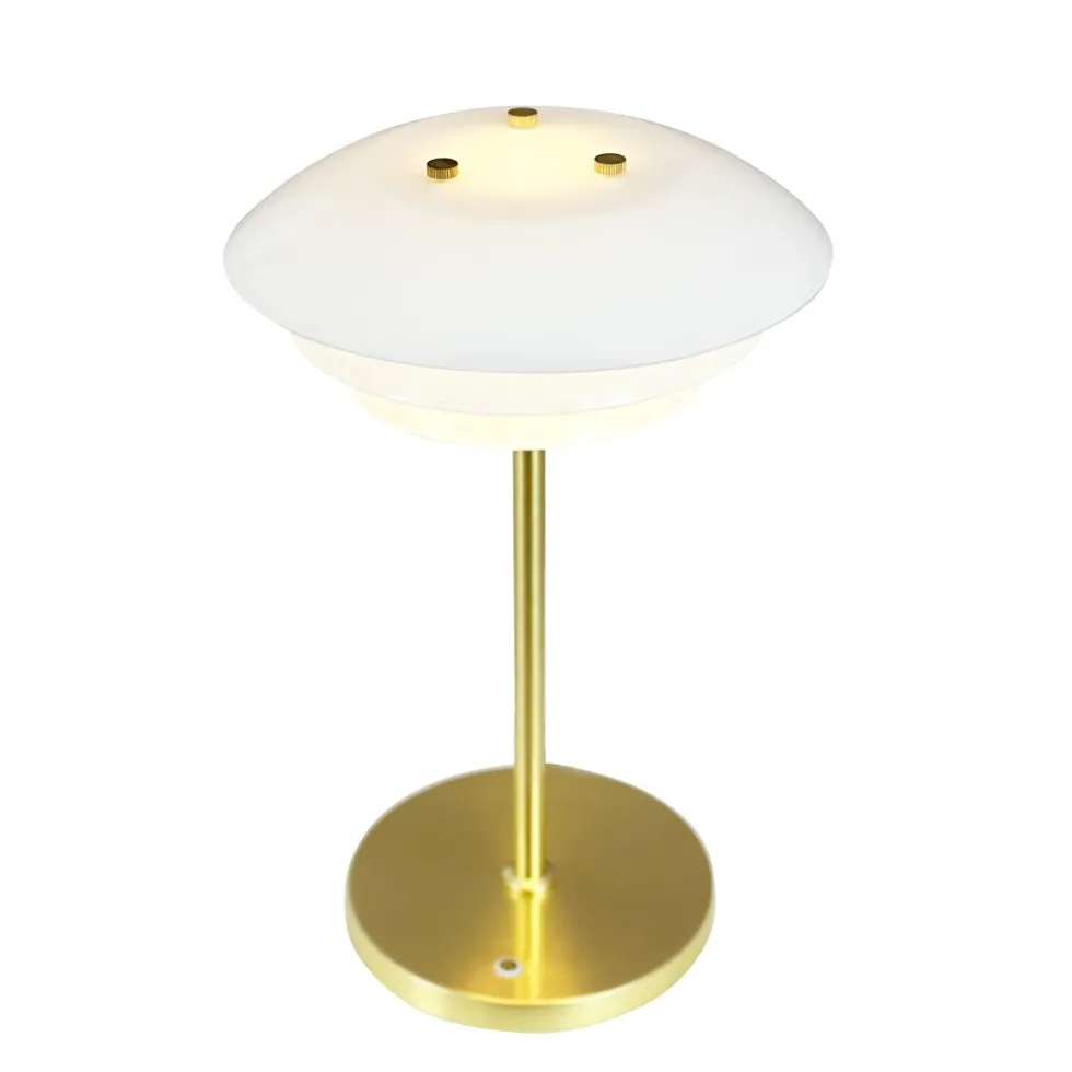 DL20 LED 30cm portabel
