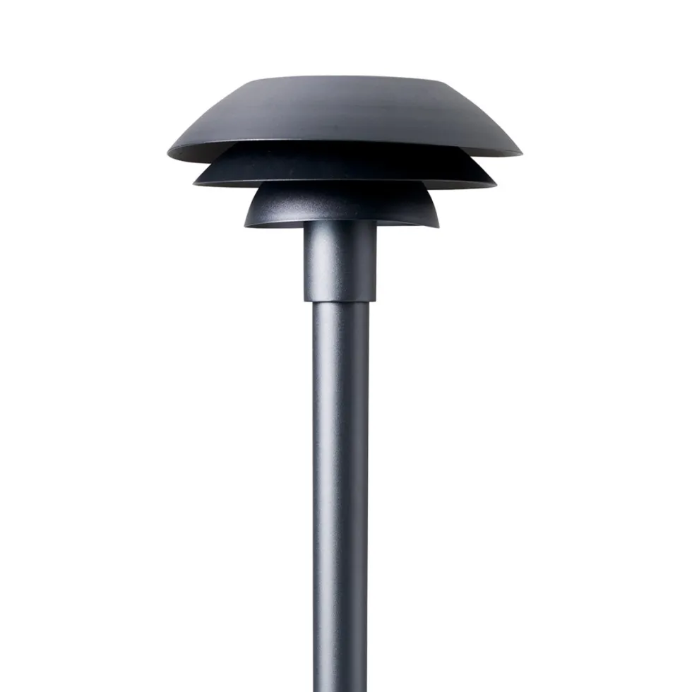 DL31 pollare