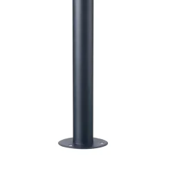 DL31 pollare