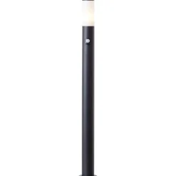 Dody 110cm pollare