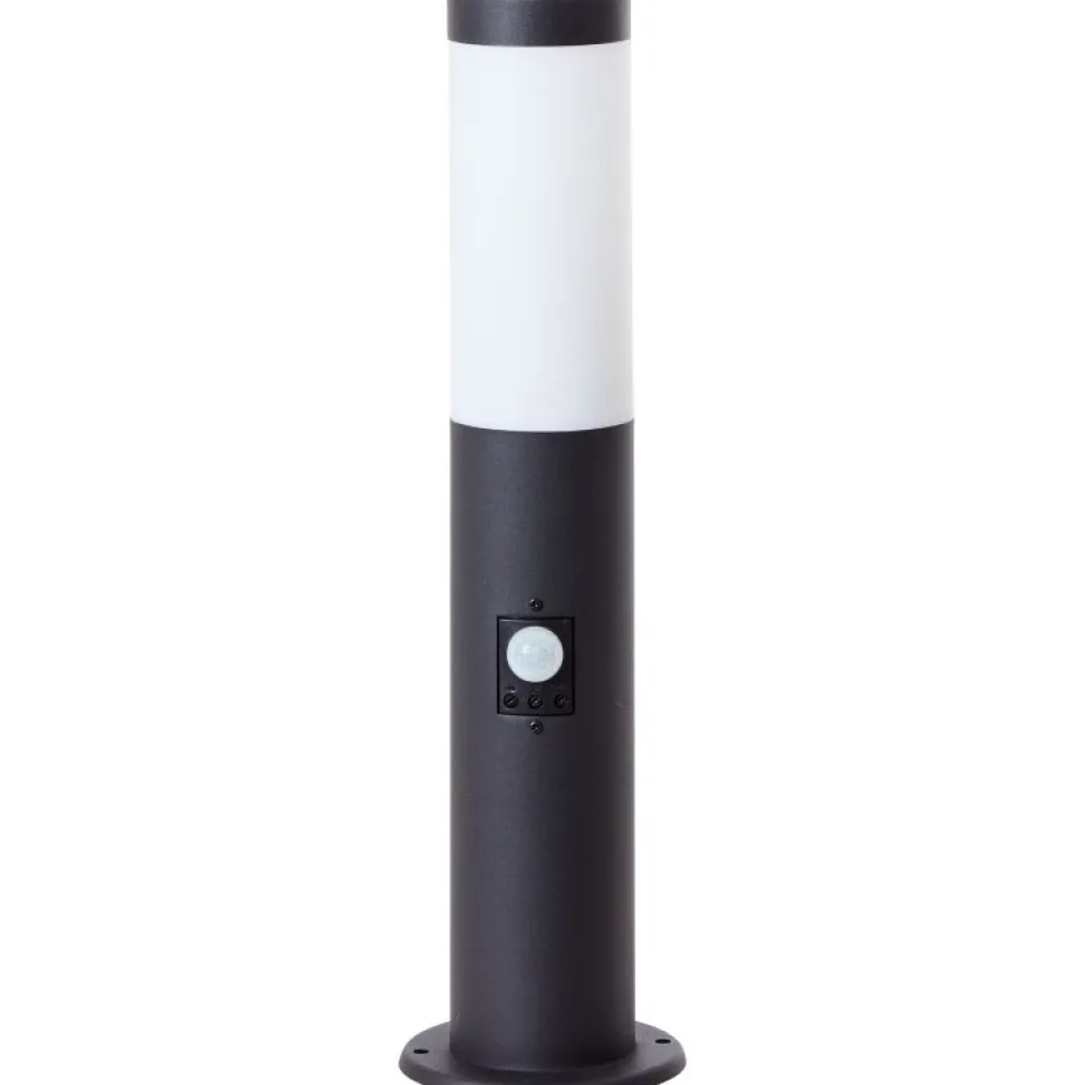 Dody 45cm pollare