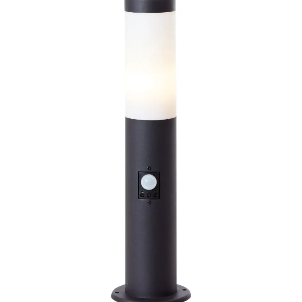 Dody 45cm pollare