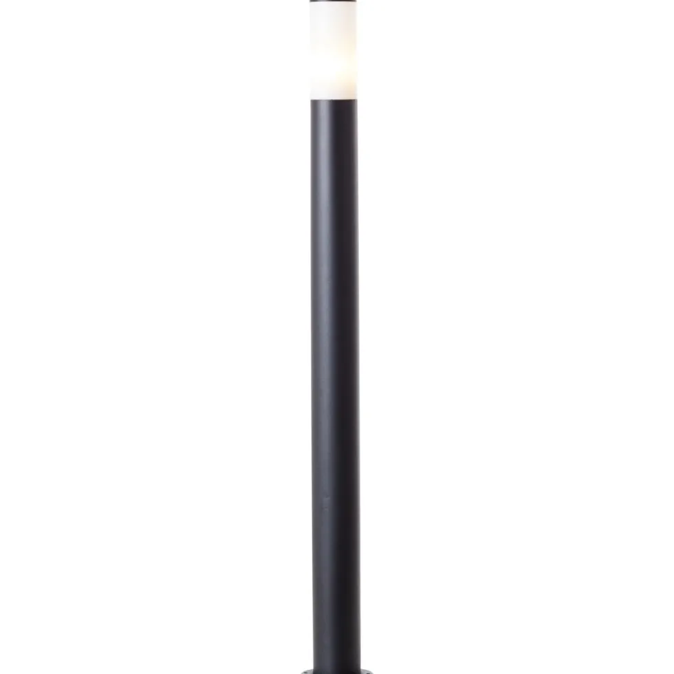 Dody 110cm pollare