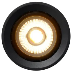 Fedler spotlight