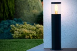 Fedor 50cm pollare