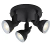 Focus 3 spotlight