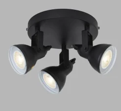 Focus 3 spotlight
