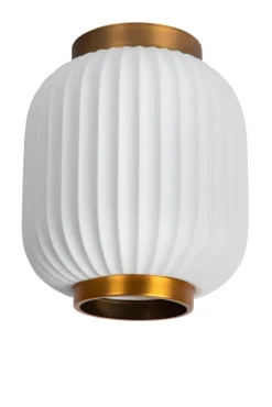 Gosse Ø20 plafond