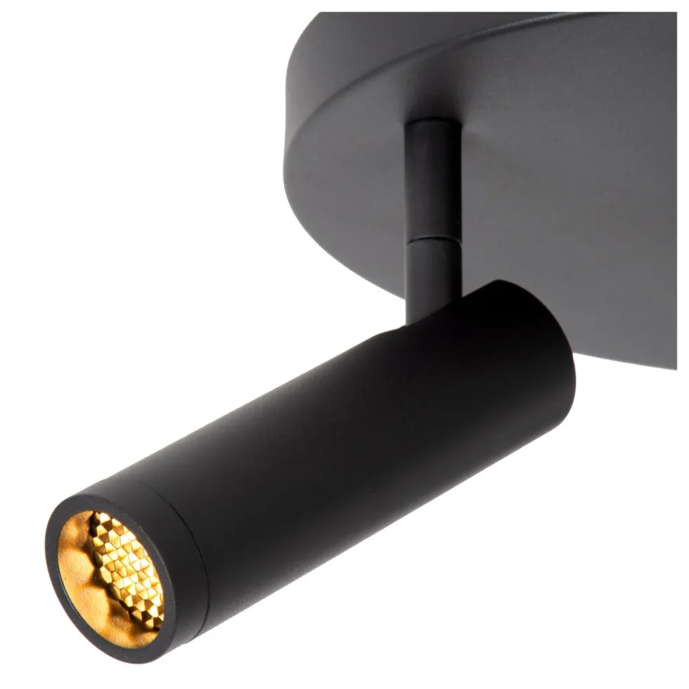 Grado 3 spotlight
