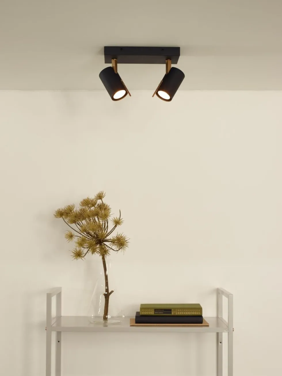 Grony 2 spotlight